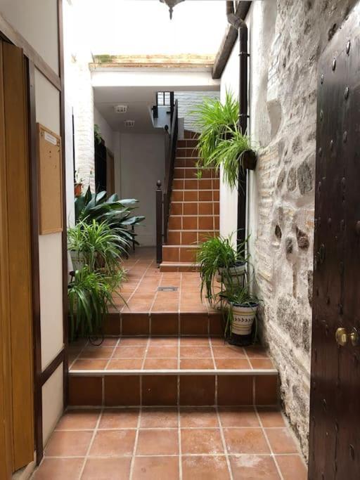 托萊多Apartamento Coqueto En Pleno Casco Antiguo公寓 外观 照片